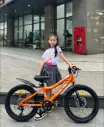 Xe đạp điện trẻ em 20"