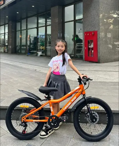 Xe đạp điện trẻ em 20"