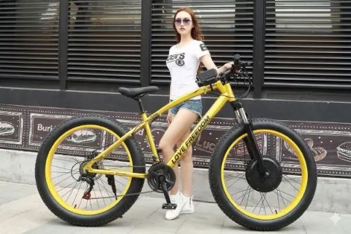 Xe đạp điện bánh béo